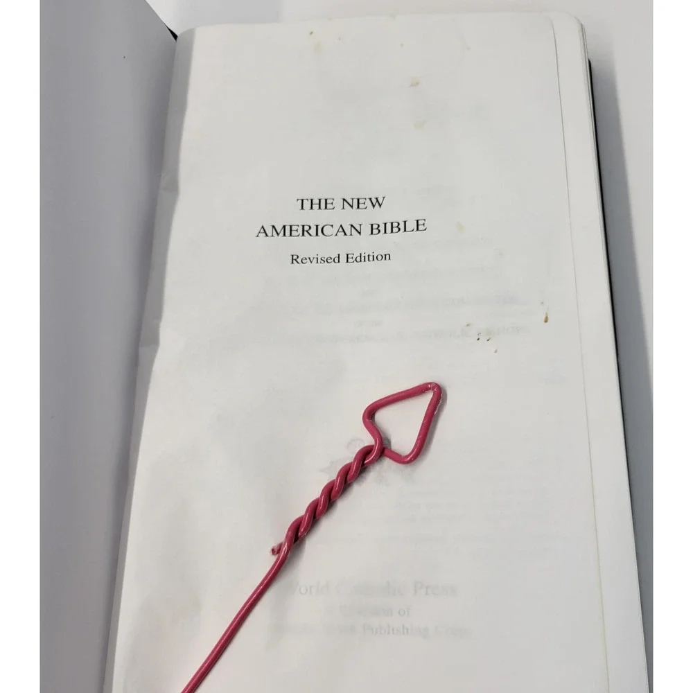 The New American Bible Revised Edition NABRE Catholic Burgundy Leatherette Cover